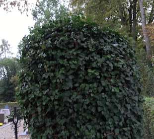 Friedhof Uigendorf