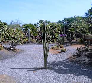 Botanischer Garten Viveiro