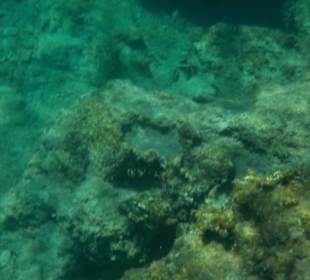 Schnorcheln beim 2. Stop 1