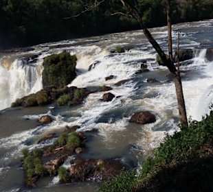 Iguassus kleine Schwester