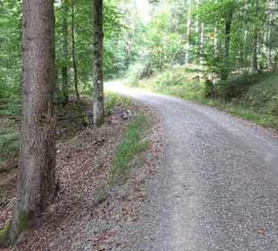 Altwege Rundwanderung Bebenhausen
