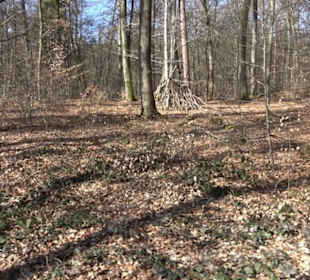 Historischer Rundwanderweg Aichtal