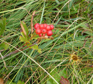 Wanderung Jakobskreuz