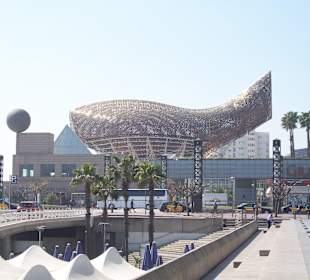 Und der Walfisch, der hat Zähne... 