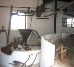 Son Marroig - Die Ölmühle