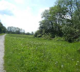 Naturschutzgebiet Boberger Niederung