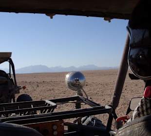 Mit dem Buggy auf Safari