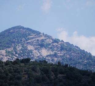 Landschaft