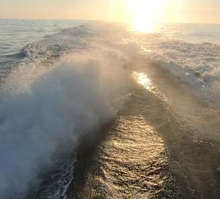 Rückfahrt mit voller Geschwindigkeit
