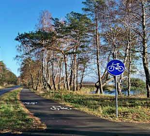 Fahrradweg am Kamper See
