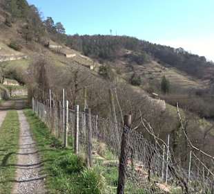 Hirschauer Spitzbergwegle (Premiumspazierwanderweg