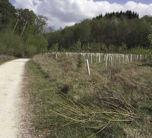 Wanderweg Firstwaldrunde