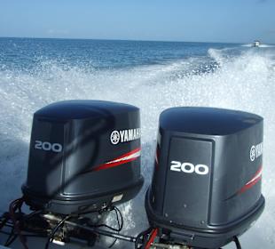 Motoren des Speedbootes Saona