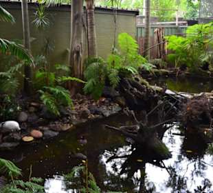 Feather Dale Wildlife Park