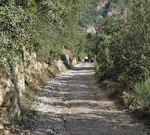 Der Weg zum Fort Liberia