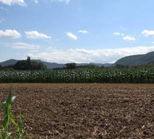 Hochgehnießen - Premiumspazierwanderweg