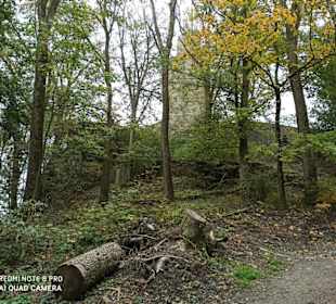 Aufstieg zur Burgruine