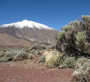 El Teide