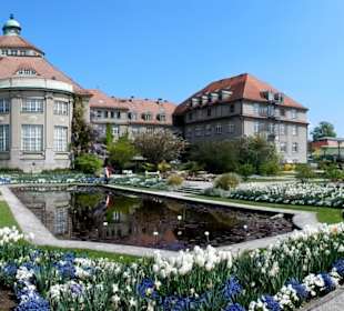 Tulpenmeer mit Teich