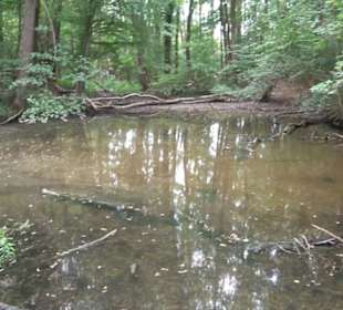 Hochgehnießen - Premiumspazierwanderweg