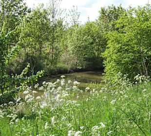 Eindrücke vom Rundgang im Seenpark