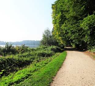 Rundgang durch den Harburger Stadtpark