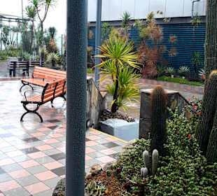Kaktusgarten - Raucherzone