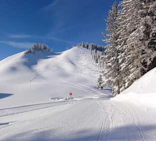 Blick von der Bergstation
