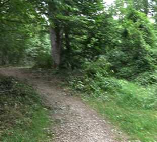 Hochgeträumt Premiumwanderung