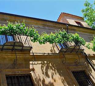 Escapada fin de semana a salamanca