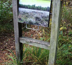 Infotafeln an den Rundwegen