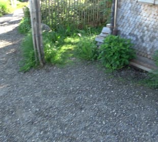 Allgäuer Honig Haus