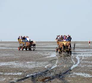 Heimkehrende Wattwagen 