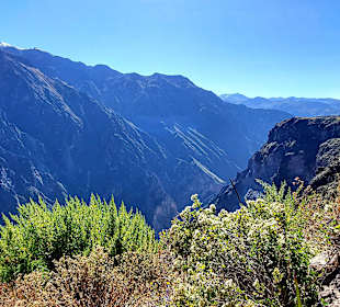 Colca-Canyon