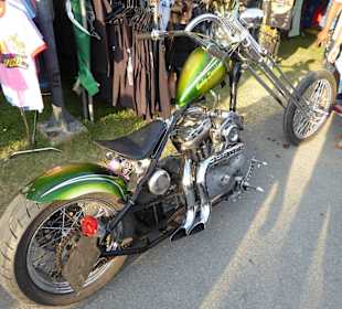 Originelle Gefährte