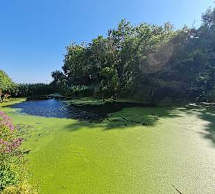 Naturschutzgebiet Baltata
