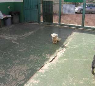 Persönlicher Besuch im Tierheim