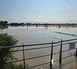 Wenn es mal richtig Regen gibt