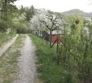 Wanderweg Firstwaldrunde