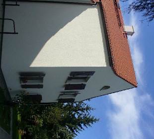 Pijalnia Wód - Palmiarnia