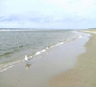 Strand Norddorf