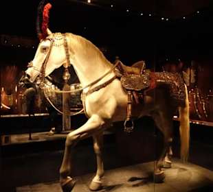 Pferde voll gesattelt für den Ritterkampf