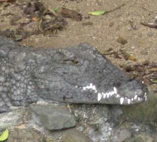 Nur gucken, nicht anfassen...