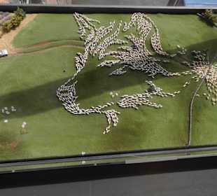 Auf der Brücke nach Südamerika