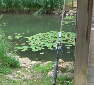 Fischlehrpfad Neu-Ulm