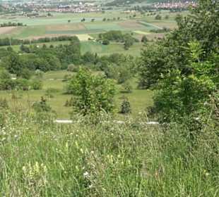 Früchtetrauf - Wurmlinger Kapellenwegle