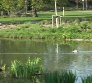 Unterer Schlossgarten Stuttgart