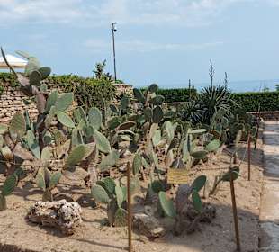 Umgebung + Botanischer Garten Baltschik + Schloss