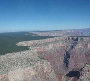 Blick auf Wald und Canyon