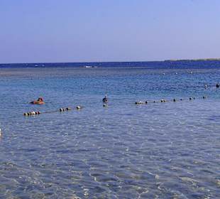 Schnorcheln in Sharm el Naga